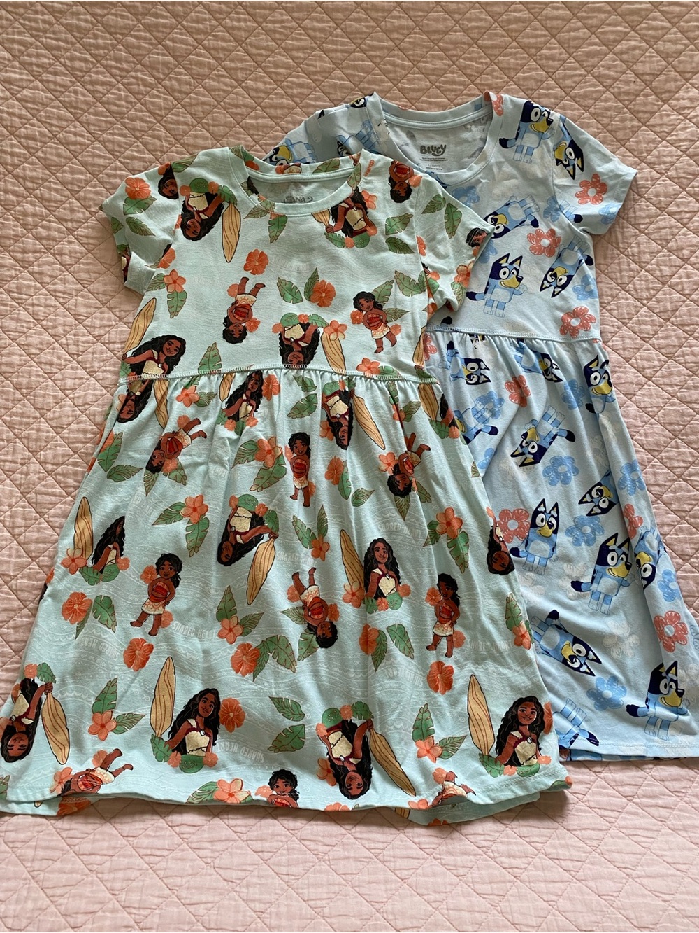 Moana and Bluey dress